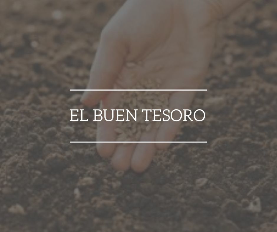 <span style="font-weight: bold;">EL BUEN TESORO</span>